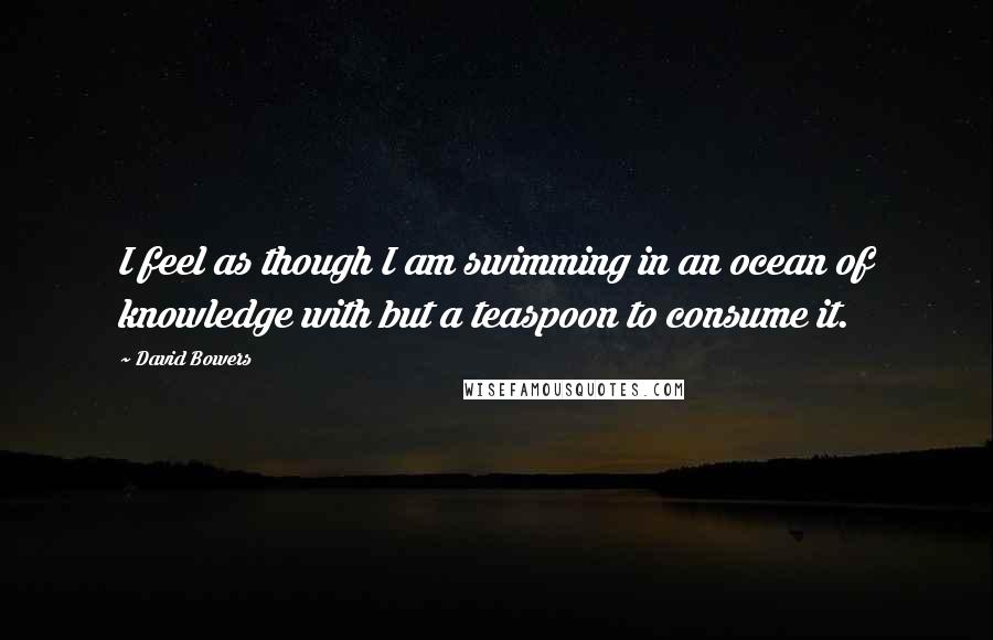 David Bowers Quotes: I feel as though I am swimming in an ocean of knowledge with but a teaspoon to consume it.
