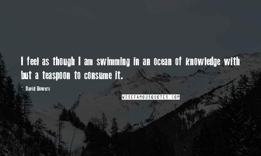 David Bowers Quotes: I feel as though I am swimming in an ocean of knowledge with but a teaspoon to consume it.