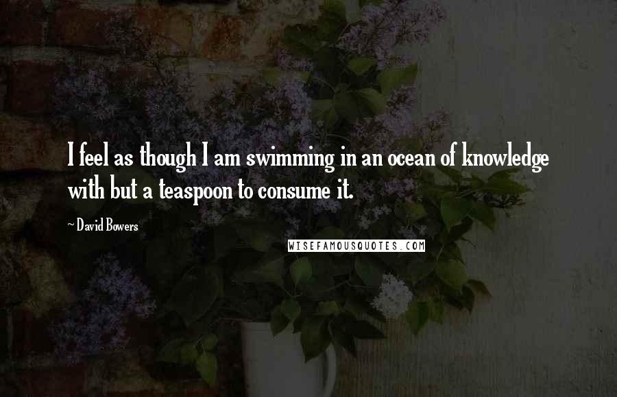 David Bowers Quotes: I feel as though I am swimming in an ocean of knowledge with but a teaspoon to consume it.