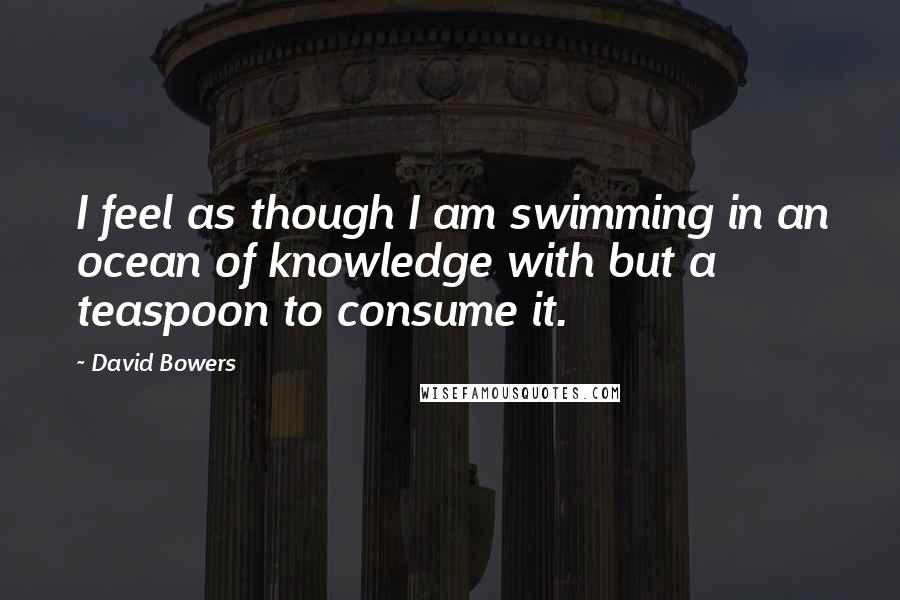 David Bowers Quotes: I feel as though I am swimming in an ocean of knowledge with but a teaspoon to consume it.