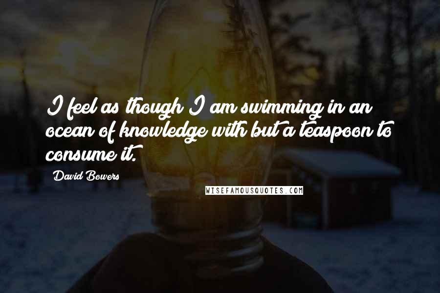 David Bowers Quotes: I feel as though I am swimming in an ocean of knowledge with but a teaspoon to consume it.