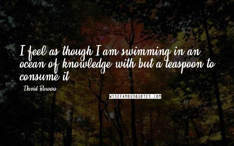 David Bowers Quotes: I feel as though I am swimming in an ocean of knowledge with but a teaspoon to consume it.