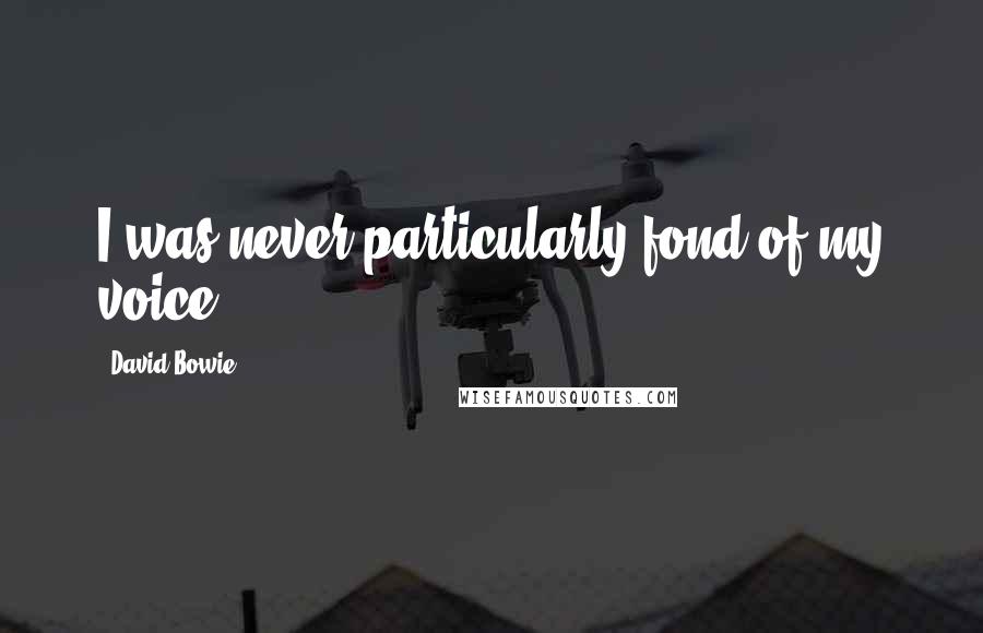 David Bowie Quotes: I was never particularly fond of my voice.