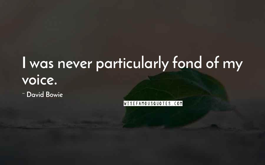 David Bowie Quotes: I was never particularly fond of my voice.