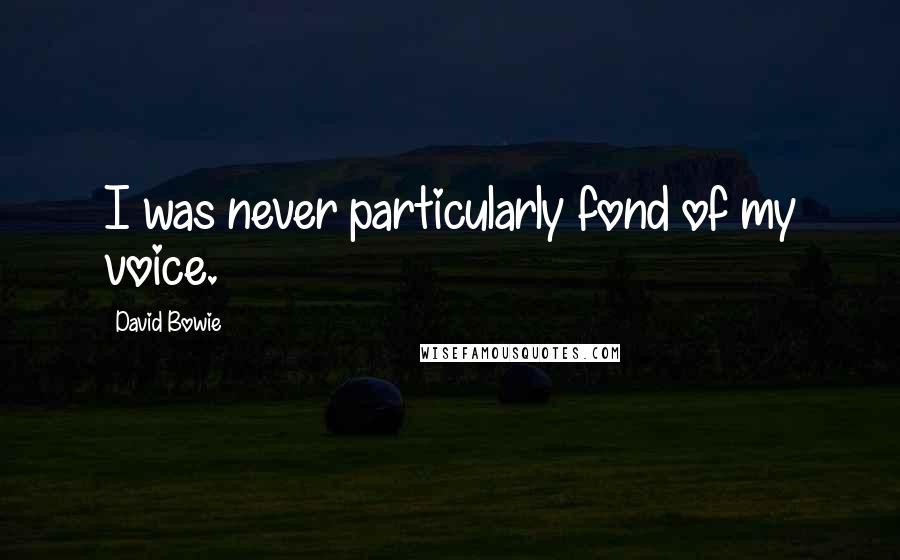 David Bowie Quotes: I was never particularly fond of my voice.