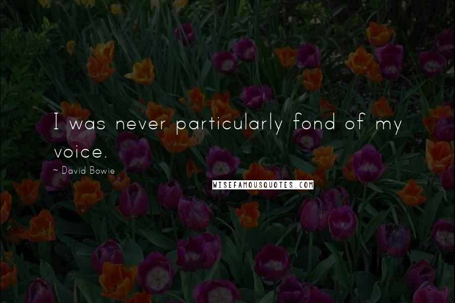 David Bowie Quotes: I was never particularly fond of my voice.