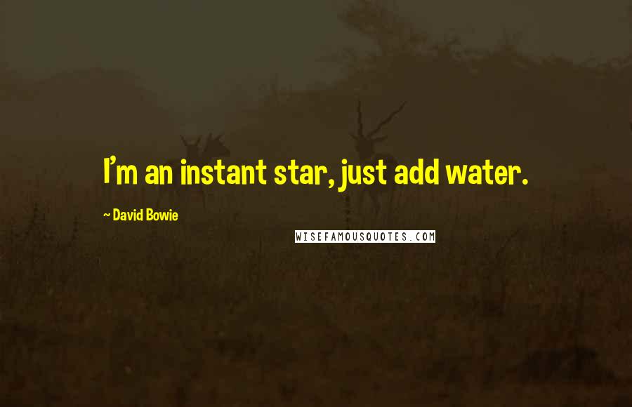 David Bowie Quotes: I'm an instant star, just add water.