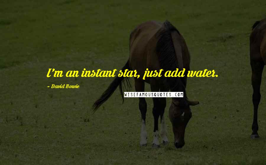 David Bowie Quotes: I'm an instant star, just add water.