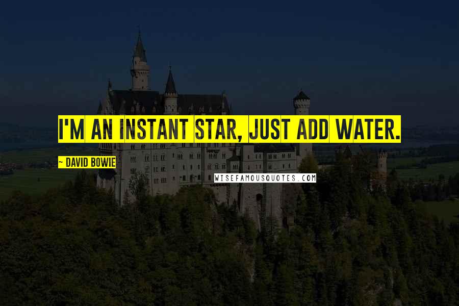 David Bowie Quotes: I'm an instant star, just add water.