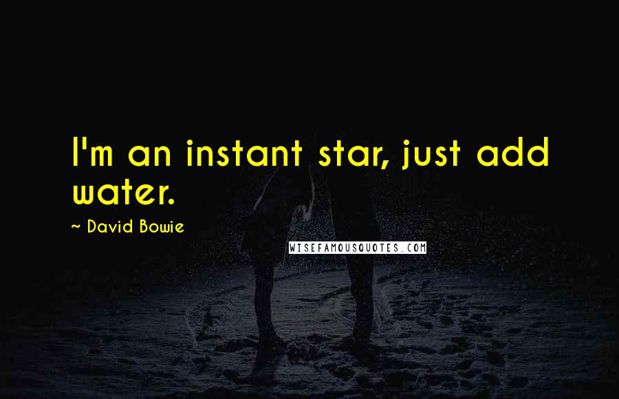 David Bowie Quotes: I'm an instant star, just add water.