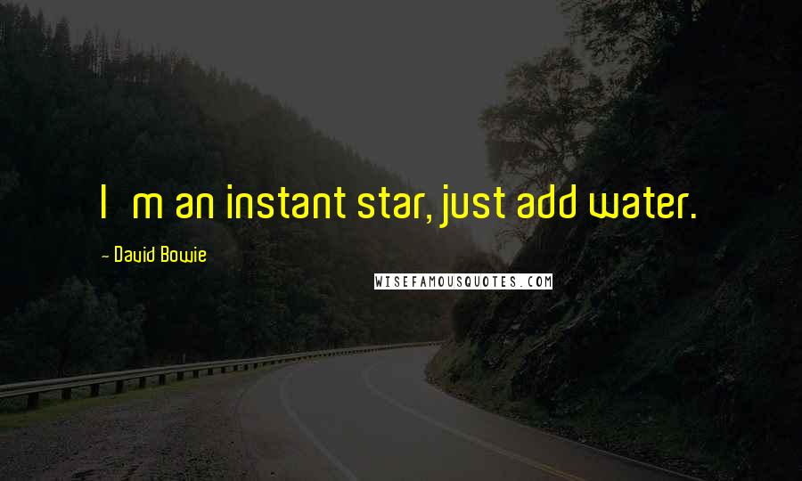 David Bowie Quotes: I'm an instant star, just add water.