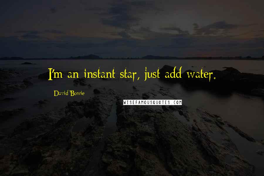 David Bowie Quotes: I'm an instant star, just add water.