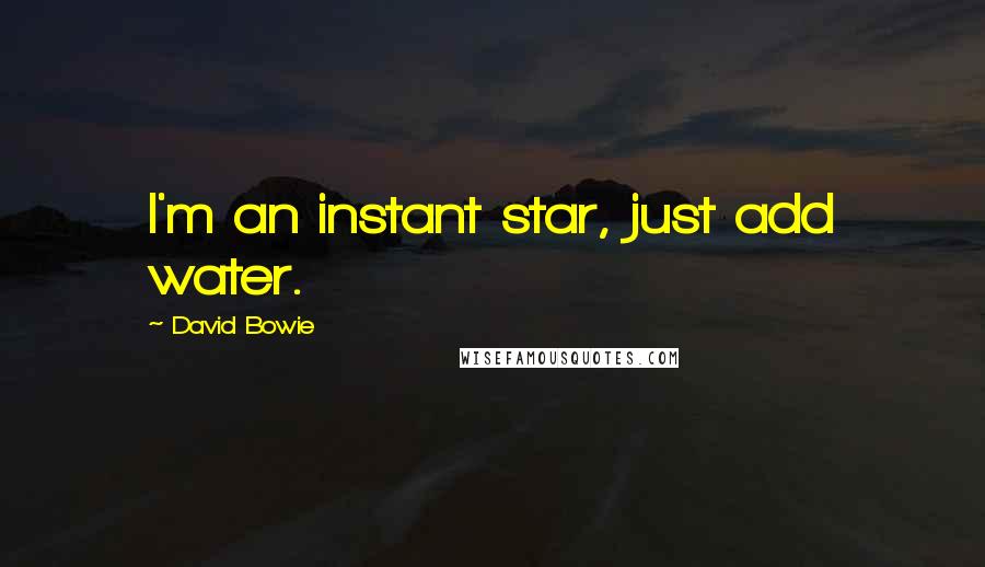 David Bowie Quotes: I'm an instant star, just add water.