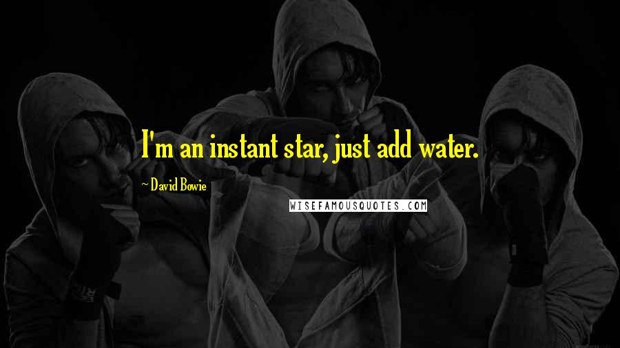 David Bowie Quotes: I'm an instant star, just add water.