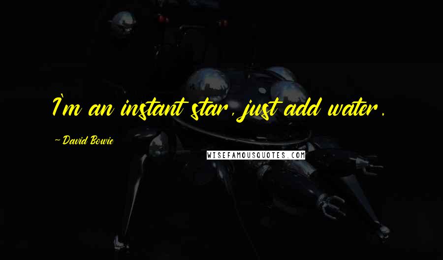 David Bowie Quotes: I'm an instant star, just add water.