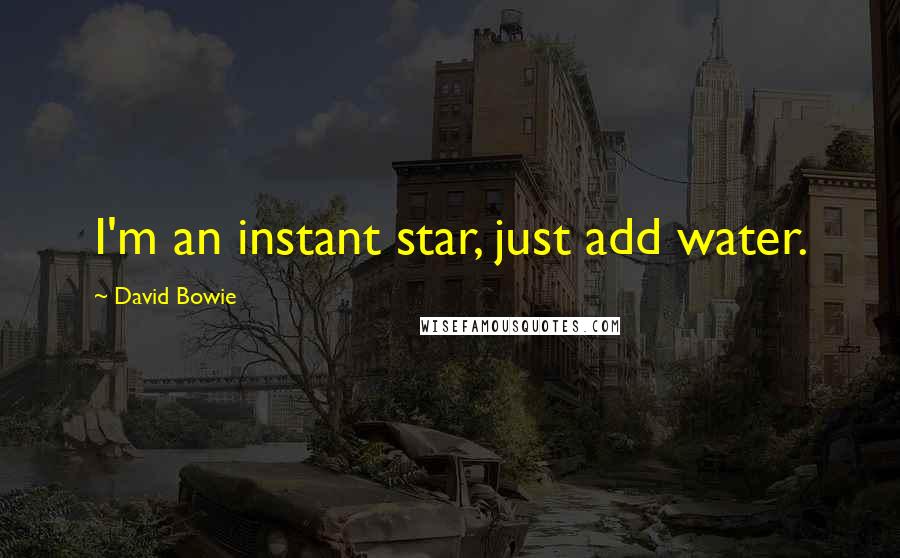 David Bowie Quotes: I'm an instant star, just add water.