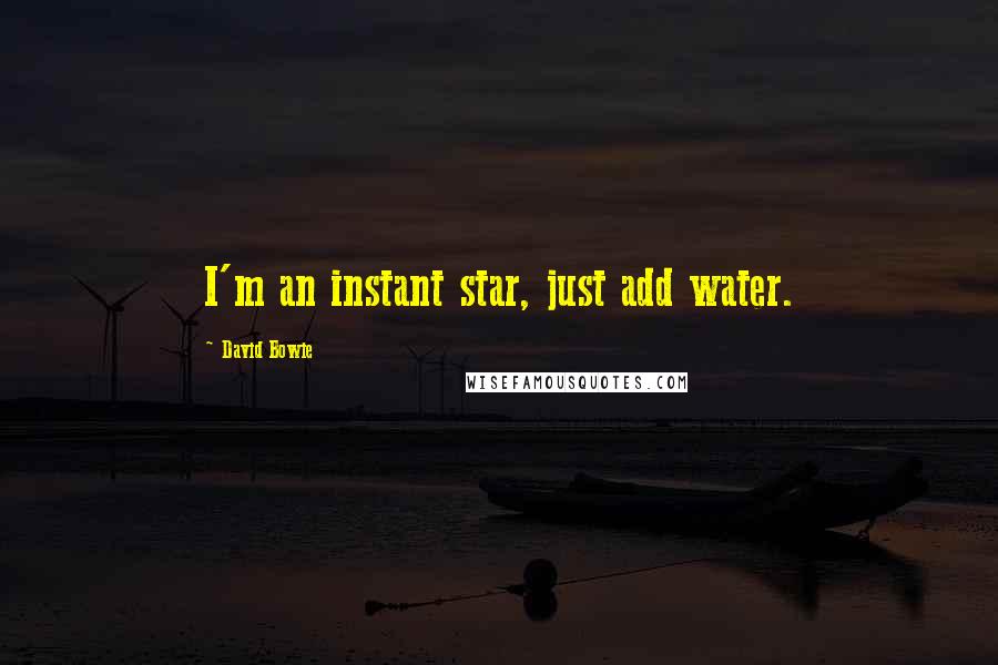 David Bowie Quotes: I'm an instant star, just add water.