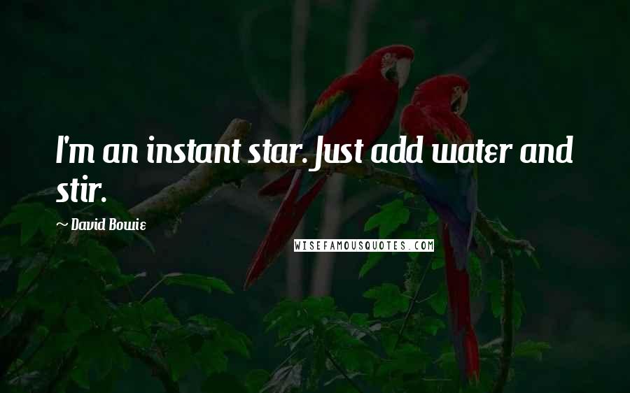 David Bowie Quotes: I'm an instant star. Just add water and stir.