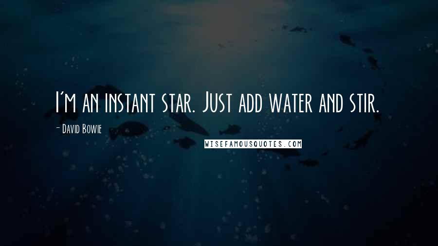 David Bowie Quotes: I'm an instant star. Just add water and stir.