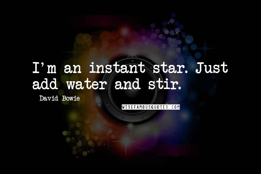 David Bowie Quotes: I'm an instant star. Just add water and stir.