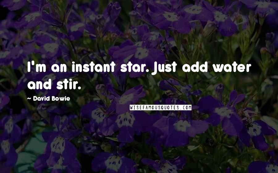 David Bowie Quotes: I'm an instant star. Just add water and stir.