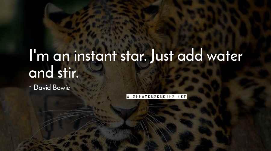 David Bowie Quotes: I'm an instant star. Just add water and stir.