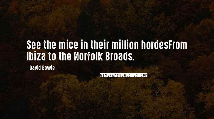 David Bowie Quotes: See the mice in their million hordesFrom Ibiza to the Norfolk Broads.