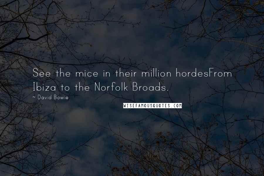 David Bowie Quotes: See the mice in their million hordesFrom Ibiza to the Norfolk Broads.