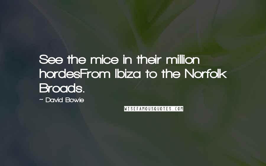 David Bowie Quotes: See the mice in their million hordesFrom Ibiza to the Norfolk Broads.