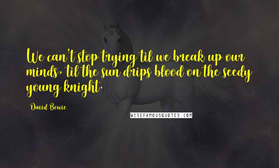 David Bowie Quotes: We can't stop trying til we break up our minds, til the sun drips blood on the seedy young knight.