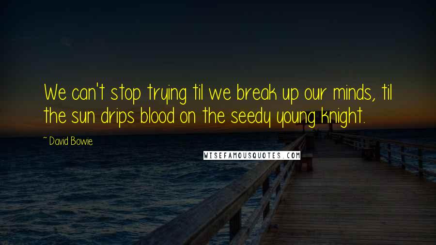 David Bowie Quotes: We can't stop trying til we break up our minds, til the sun drips blood on the seedy young knight.