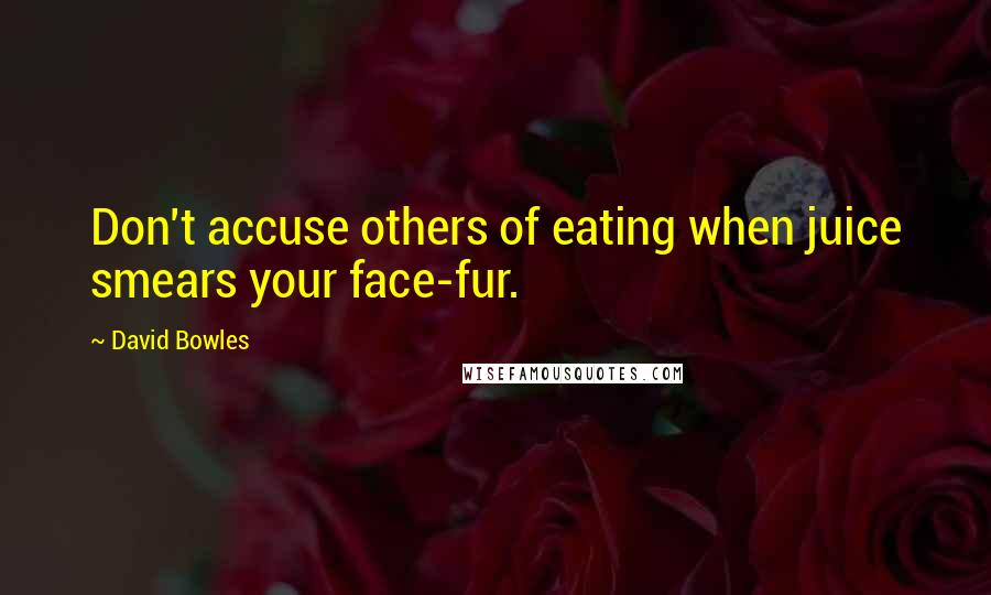 David Bowles Quotes: Don't accuse others of eating when juice smears your face-fur.