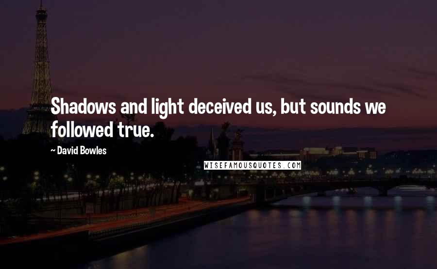 David Bowles Quotes: Shadows and light deceived us, but sounds we followed true.