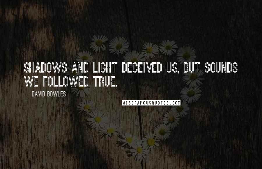 David Bowles Quotes: Shadows and light deceived us, but sounds we followed true.