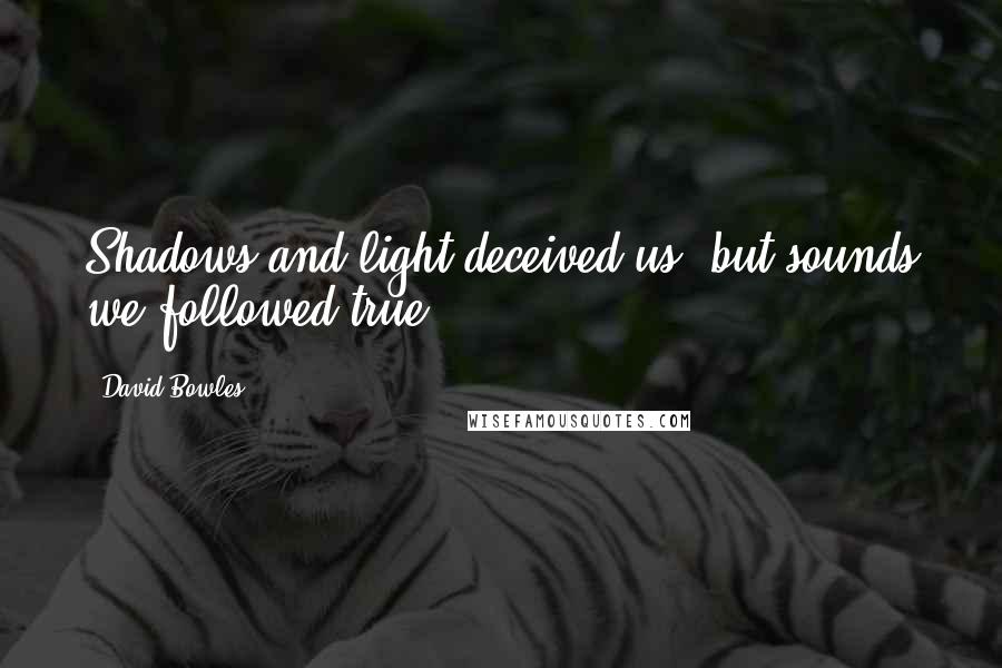David Bowles Quotes: Shadows and light deceived us, but sounds we followed true.