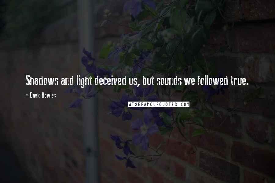 David Bowles Quotes: Shadows and light deceived us, but sounds we followed true.