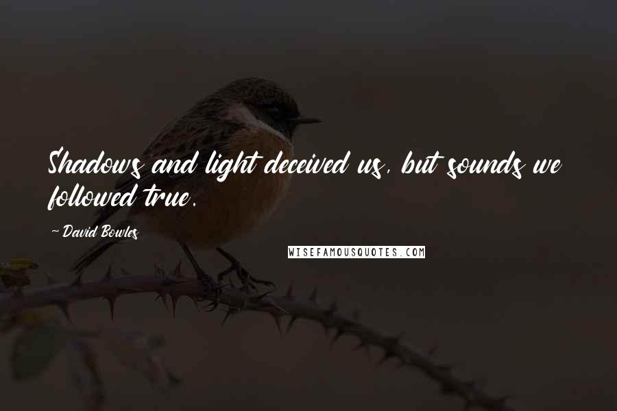 David Bowles Quotes: Shadows and light deceived us, but sounds we followed true.