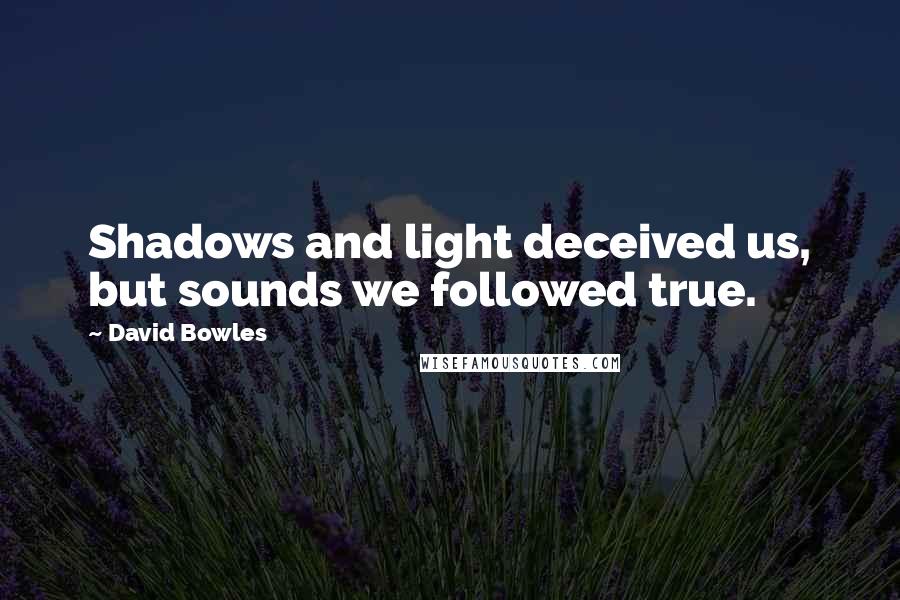 David Bowles Quotes: Shadows and light deceived us, but sounds we followed true.