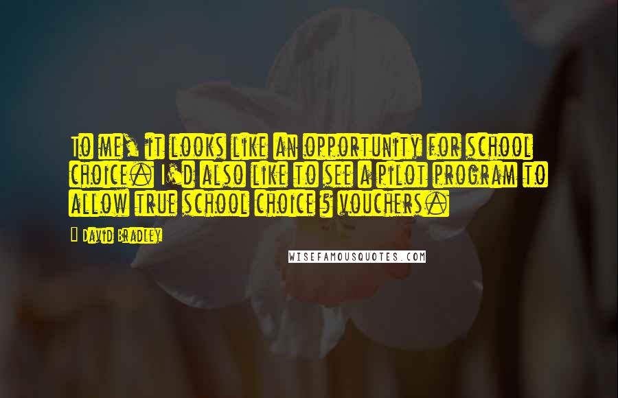David Bradley Quotes: To me, it looks like an opportunity for school choice. I'd also like to see a pilot program to allow true school choice ? vouchers.