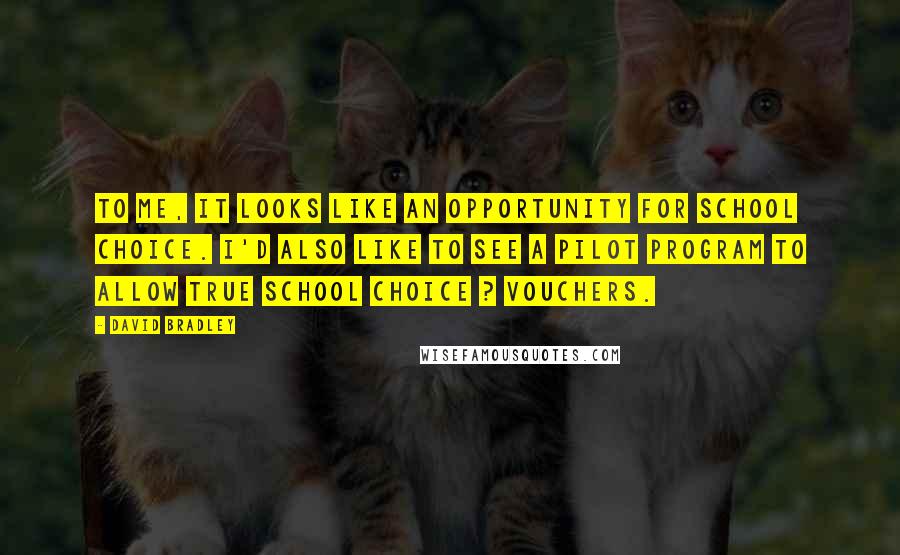 David Bradley Quotes: To me, it looks like an opportunity for school choice. I'd also like to see a pilot program to allow true school choice ? vouchers.