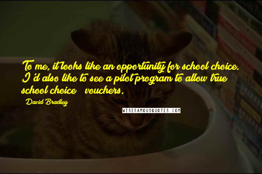 David Bradley Quotes: To me, it looks like an opportunity for school choice. I'd also like to see a pilot program to allow true school choice ? vouchers.