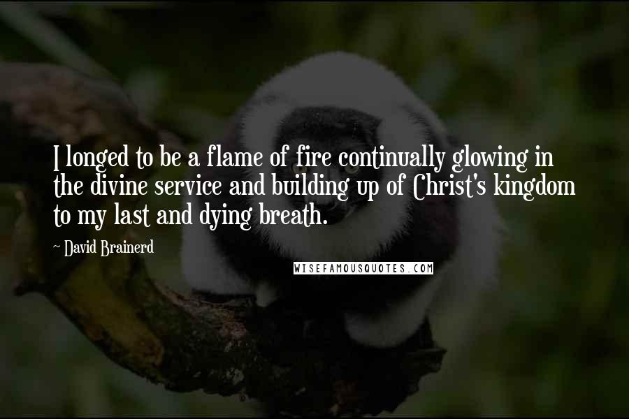 David Brainerd Quotes: I longed to be a flame of fire continually glowing in the divine service and building up of Christ's kingdom to my last and dying breath.