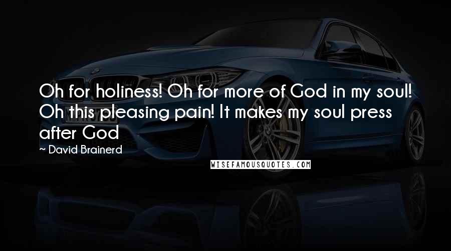 David Brainerd Quotes: Oh for holiness! Oh for more of God in my soul! Oh this pleasing pain! It makes my soul press after God