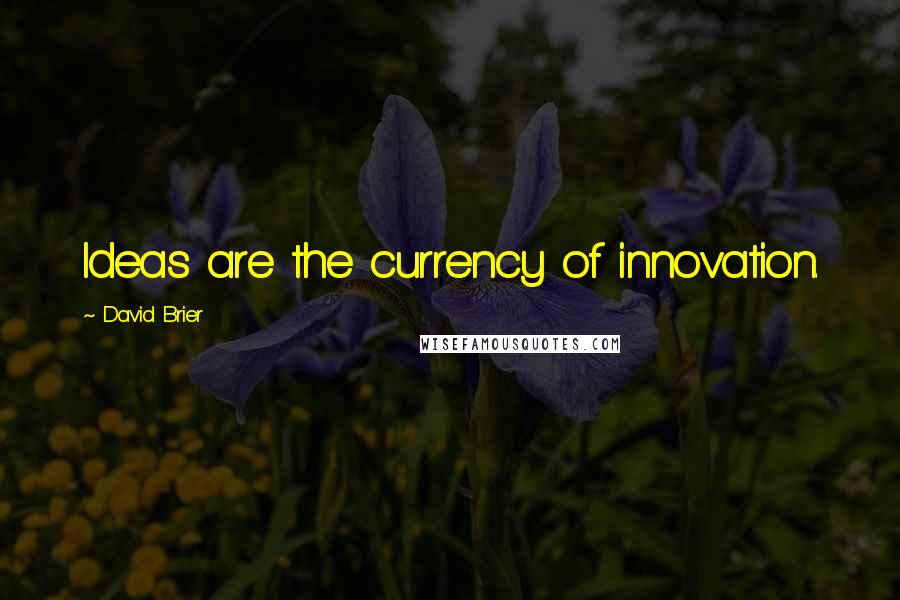 David Brier Quotes: Ideas are the currency of innovation.