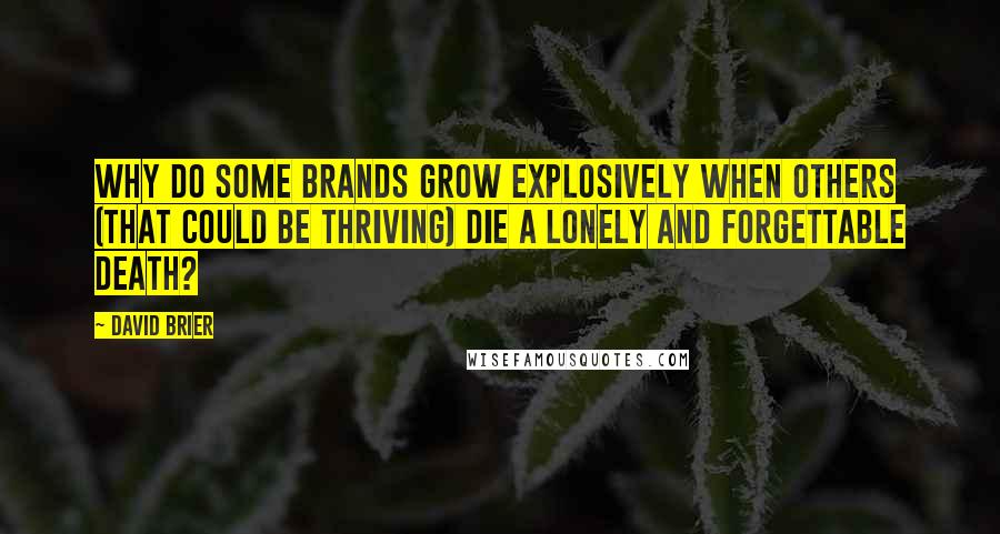 David Brier Quotes: Why do some brands grow explosively when others (that could be thriving) die a lonely and forgettable death?