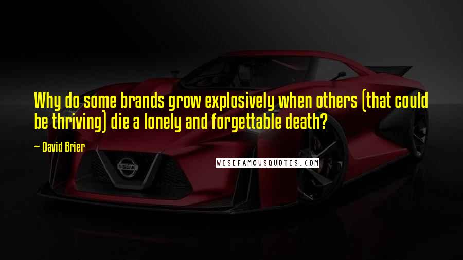 David Brier Quotes: Why do some brands grow explosively when others (that could be thriving) die a lonely and forgettable death?