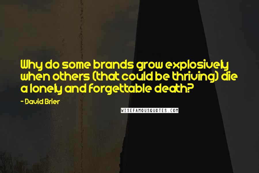 David Brier Quotes: Why do some brands grow explosively when others (that could be thriving) die a lonely and forgettable death?