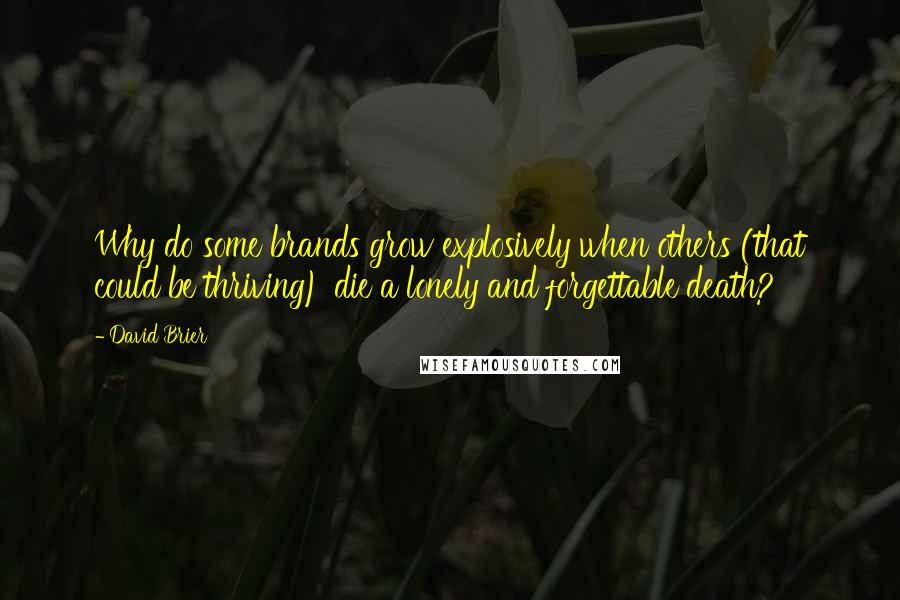 David Brier Quotes: Why do some brands grow explosively when others (that could be thriving) die a lonely and forgettable death?