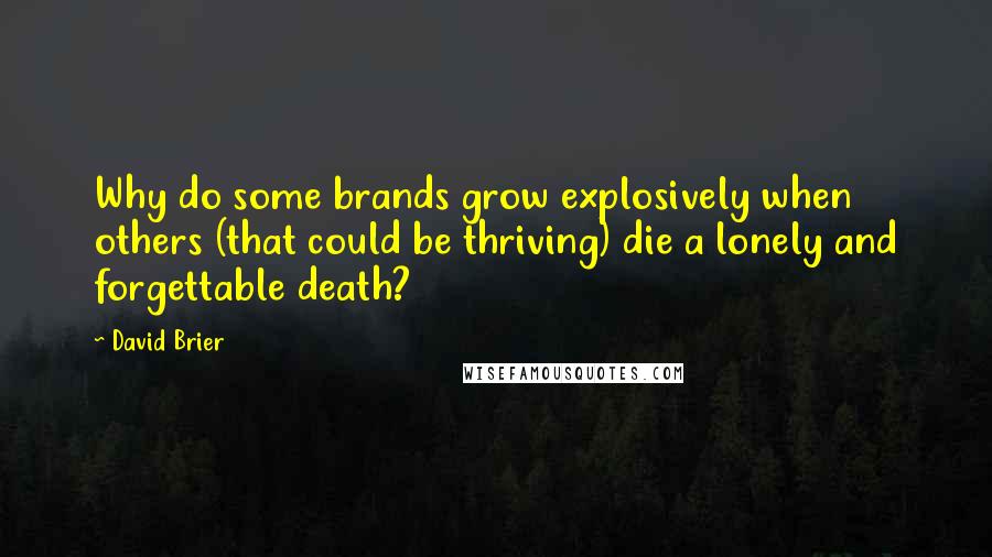 David Brier Quotes: Why do some brands grow explosively when others (that could be thriving) die a lonely and forgettable death?