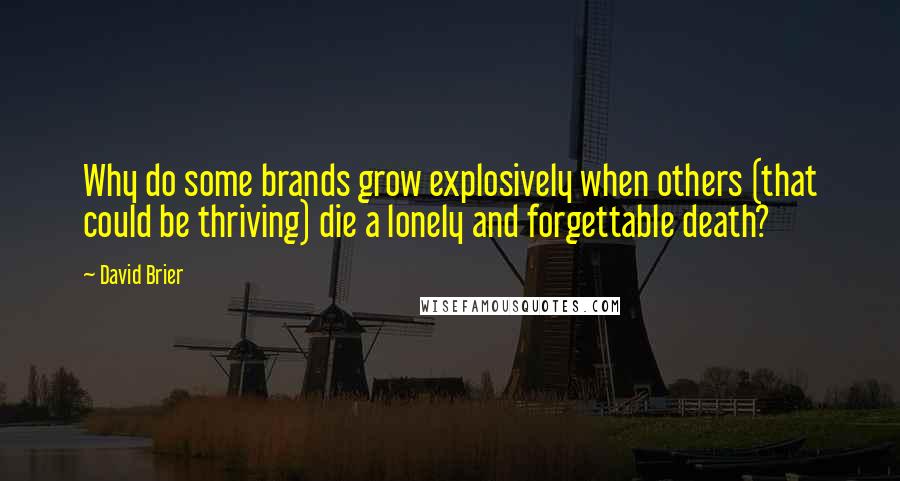 David Brier Quotes: Why do some brands grow explosively when others (that could be thriving) die a lonely and forgettable death?